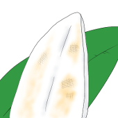 ささかま