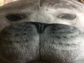 湊人