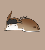 Boole