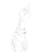 烏賊色の日々