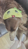 日ロ
