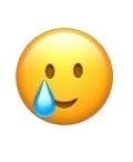 Miryal_X