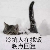 小楚可怜
