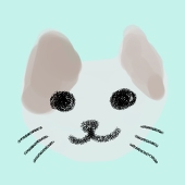 とぴん(topin)