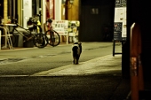 ぶちねこ