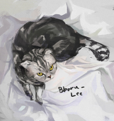 bbaronge