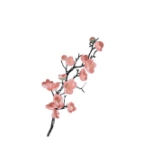 おたま