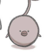 蒼