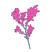 きり