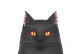 化猫