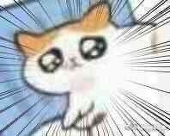 obstycato