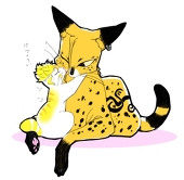 おっか