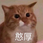 阿秋秋秋秋秋
