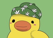 #420アヒル