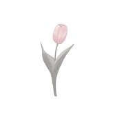 ひなつ