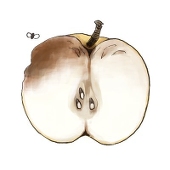 梨