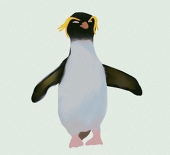 みかん