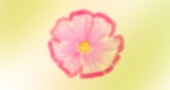 わさび