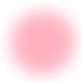 leocco