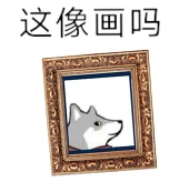 那不勒斯棕土