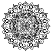 Erillasica