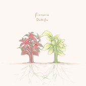 Fittonia@どひふ重患