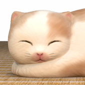 貴房