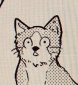 きゃの（叶）