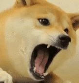 rarararara