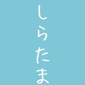 白玉
