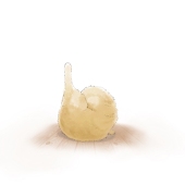 トモエ