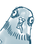鳩