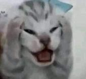 RIM러