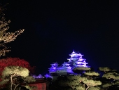 もり