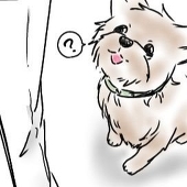 おもち