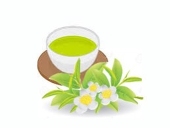茶花