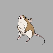 萌葱