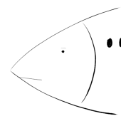 いわし