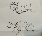 は