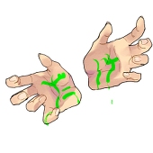 だけ