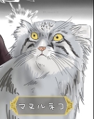 しゅのじ