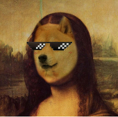蒙娜丽DOGE