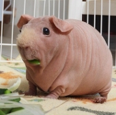 ༎ຶŎ༎ຶ