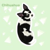 HACO-ハコ-