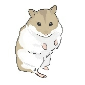しじま志麻