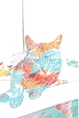 たまき