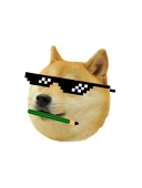 狐狸