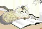 猫屋敷たまる