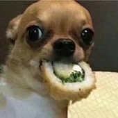 王菌菌