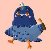 pigeonpaints